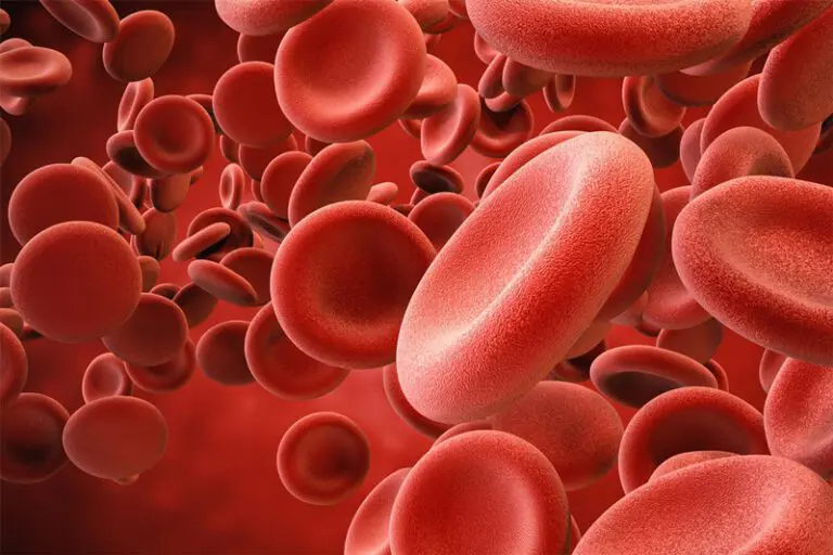 Gay plasma ban lifted, but blood restrictions to remain for now
