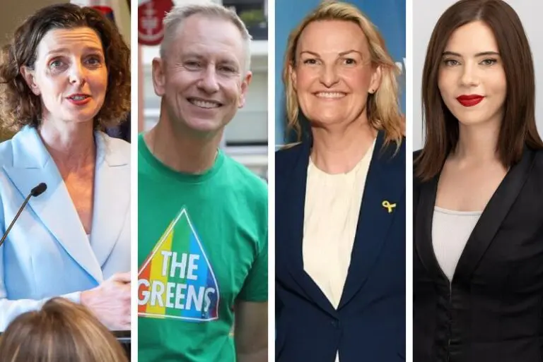 Wentworth candidates vie for the pink vote after electorate shake-up